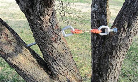 Cabling A Tree
